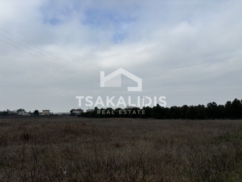 property-img