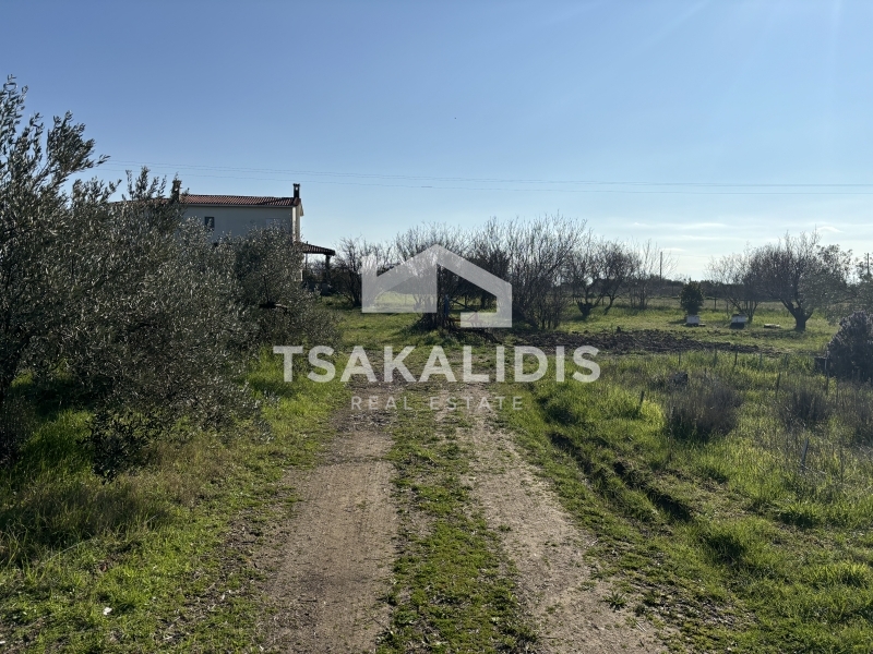 property-img