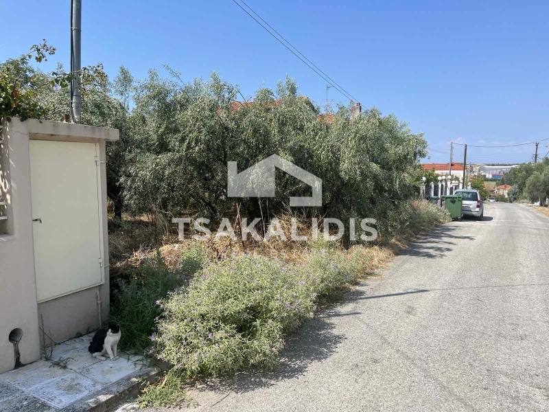 property-img