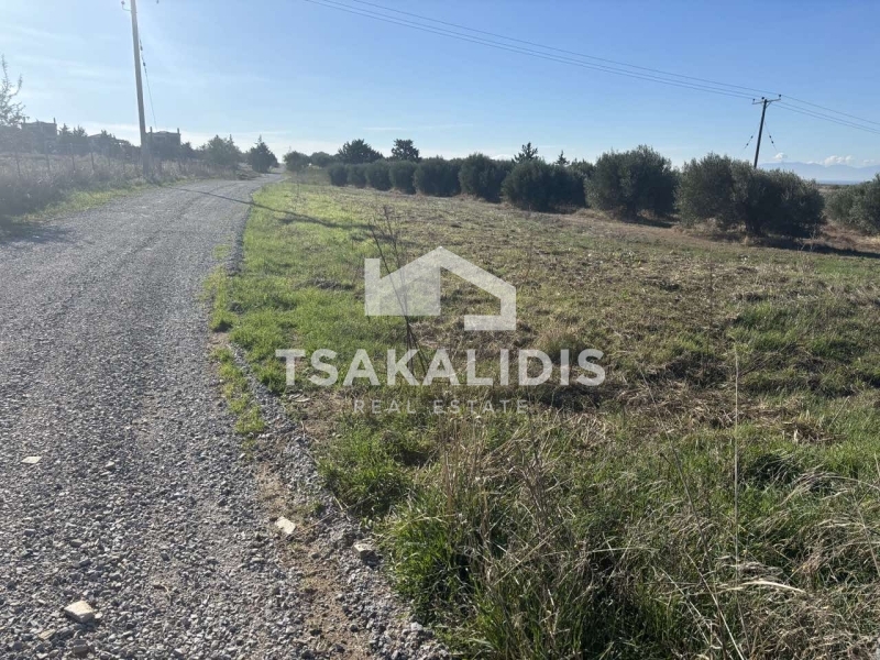 property-img