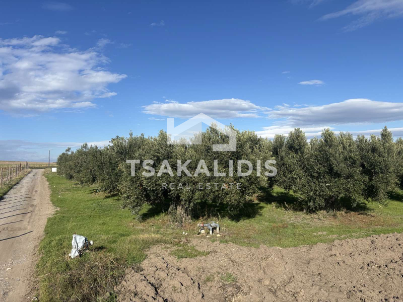 property-img