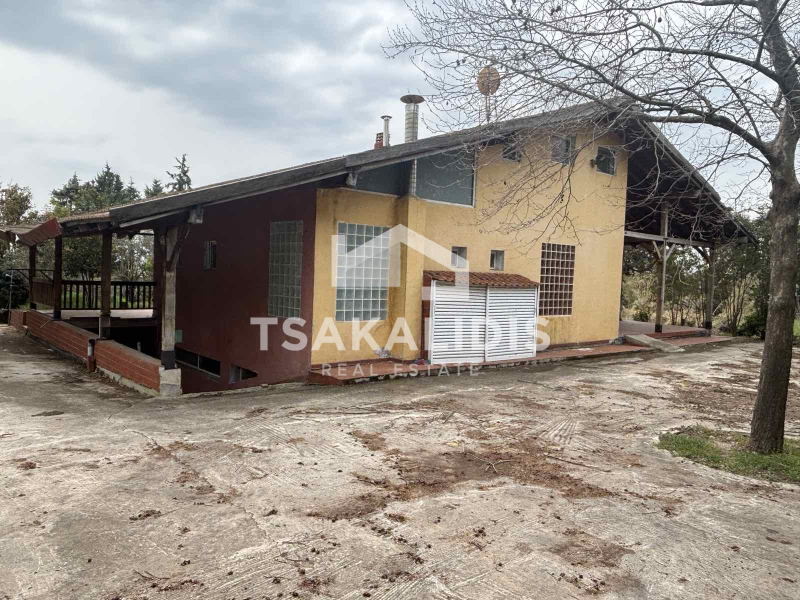 property-img